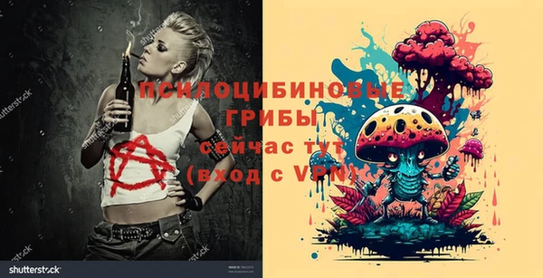 ECSTASY Абинск