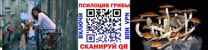 Галлюциногенные грибы мицелий цена наркотик Чита